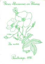 Bulletin Roses Anciennes en France n°1