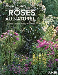 Éléonore CRUSE, La rose au naturel