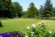 General view of the garden