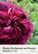 Bulletin Roses Anciennes en France n°31
