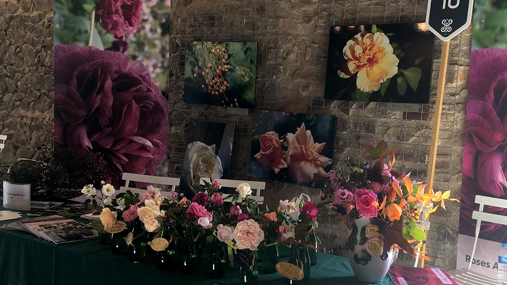 stand de Roses Anciennes en France sur une fête des plantes