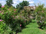 Jardin <i>La Rose Des Prairies</i>